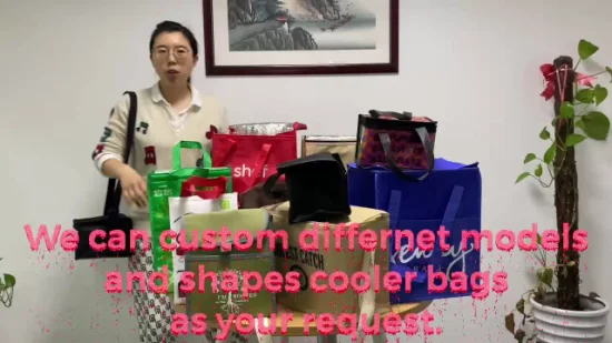 Saco térmico isolado não tecido personalizado para almoço, 6 unidades, fabricação por atacado na China